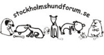 Hundskötare vikarie till Stockholms Hundforum hunddagis. 