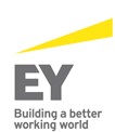 Revisionskonsulter till EY | Januari 2025
