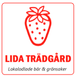 Jordgubbsförsäljare i Finspång
