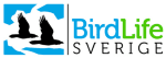 Naturintresserad IT- och verksamhetsutvecklare till BirdLife Sverige
