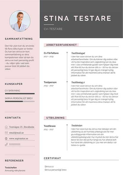 /templates/img/cv/kreativ-cv-mall-1.jpg