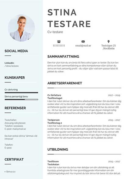 /templates/img/cv/modern-cv-mall-6.jpg