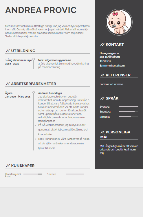 cv ungdom